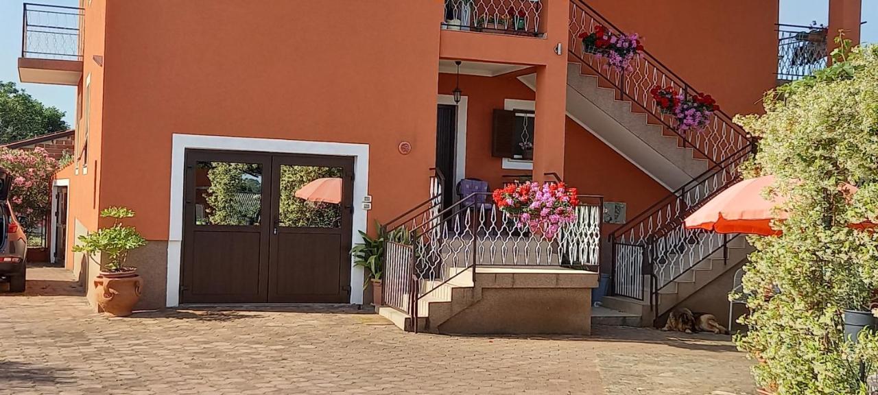 Apartment Parenzana Bibali 65 A 52460-Buje Dış mekan fotoğraf