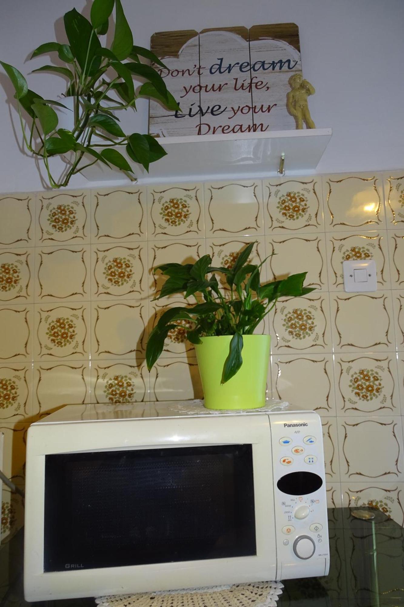 Apartment Parenzana Bibali 65 A 52460-Buje Dış mekan fotoğraf