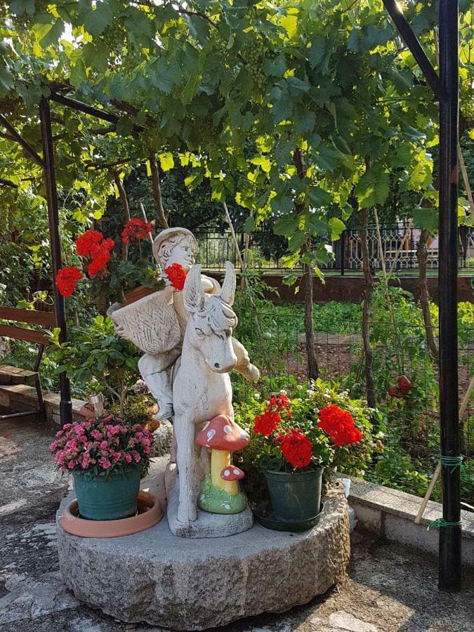 Apartment Parenzana Bibali 65 A 52460-Buje Dış mekan fotoğraf